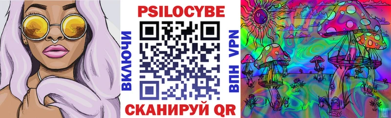 Псилоцибиновые грибы GOLDEN TEACHER  Курган 