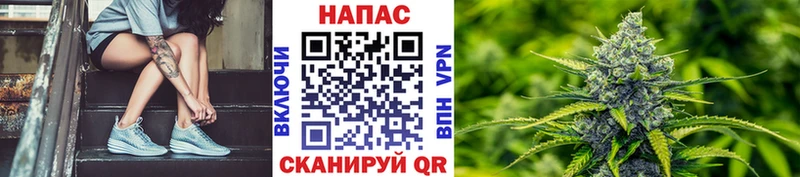 хочу наркоту  Курган  Конопля тримм 